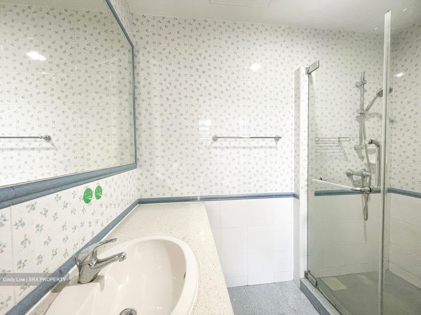 The Blossomvale (D21), Condominium #470385031